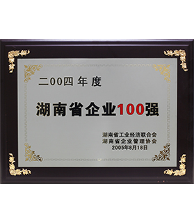 湖南省企業(yè)100強(qiáng)