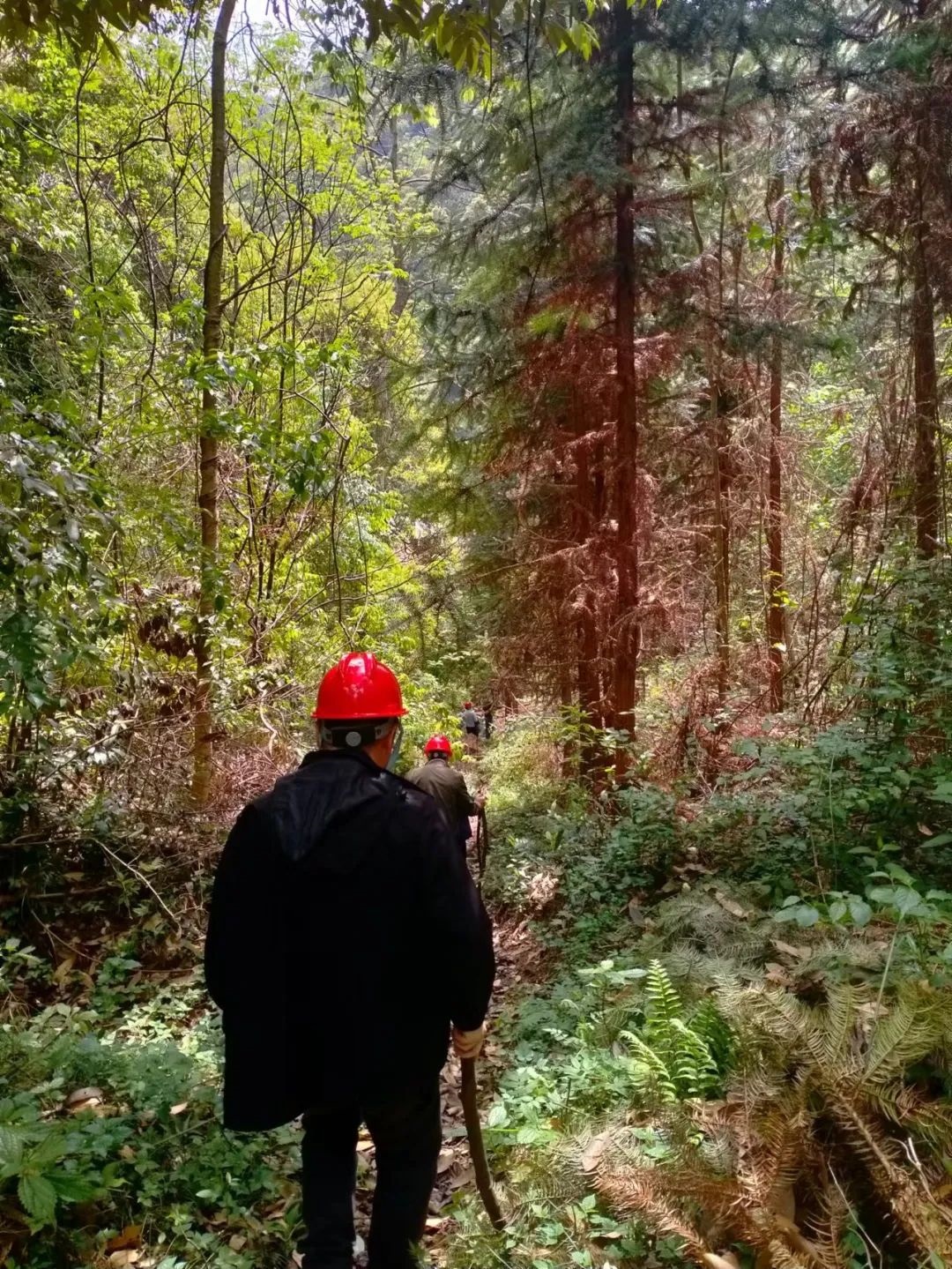 20230831251951.jpg 20230831_160016_002.jpg